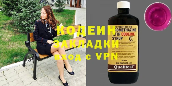 дурь Алексин