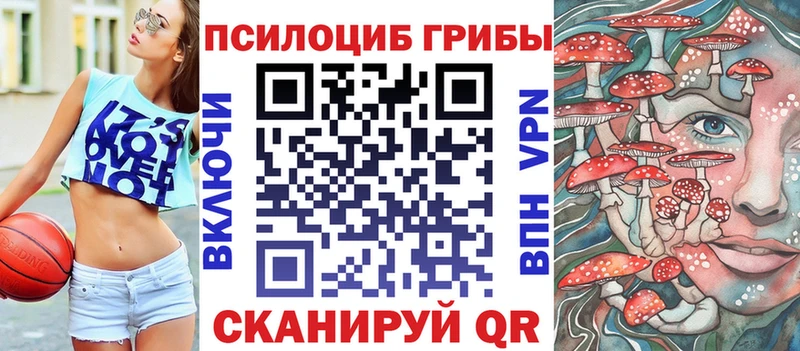 цена   Кимры  Псилоцибиновые грибы GOLDEN TEACHER 