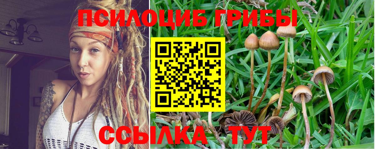 Cocaine  Гашиш  Вход с VPN  Мефедрон   Гашиш  Кимры  Бошки Шишки  Каннабис 